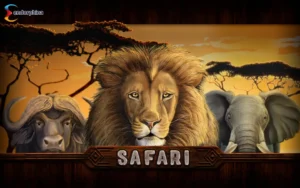 Safari