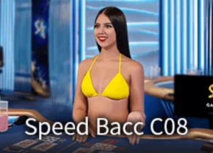 Speed-Baccarat-C08