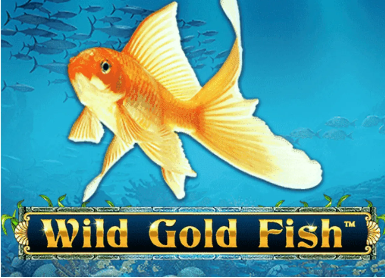 Wild-Gold-Fish