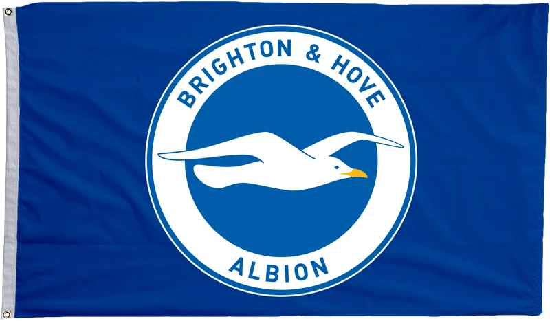  Brighton logo